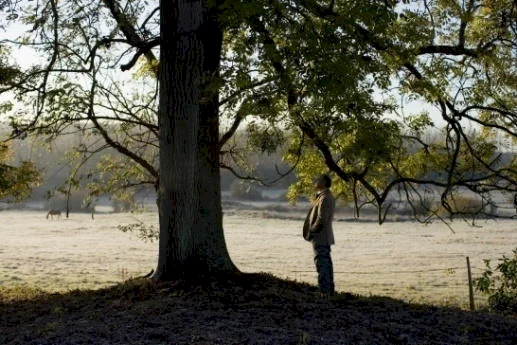 Photo 4 du film : L'Arbre et la forêt