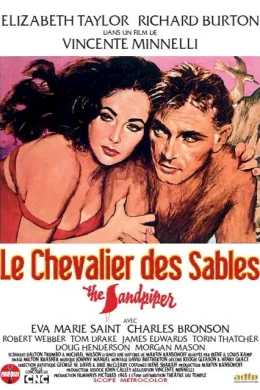 Affiche du film Le Chevalier des sables
