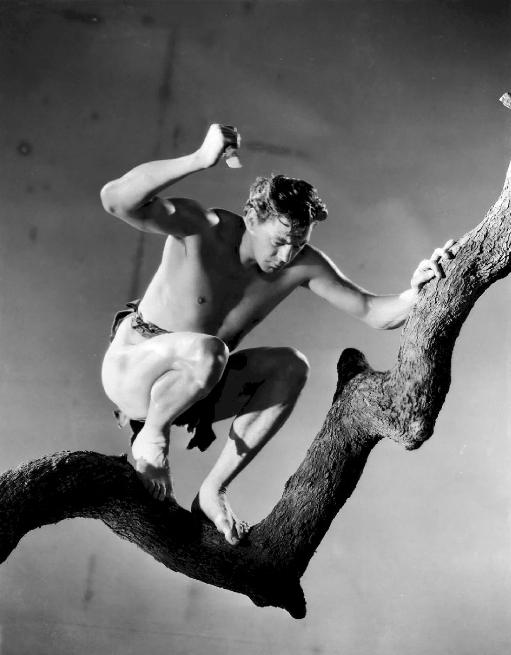 Photo 4 du film : Tarzan, l'homme singe