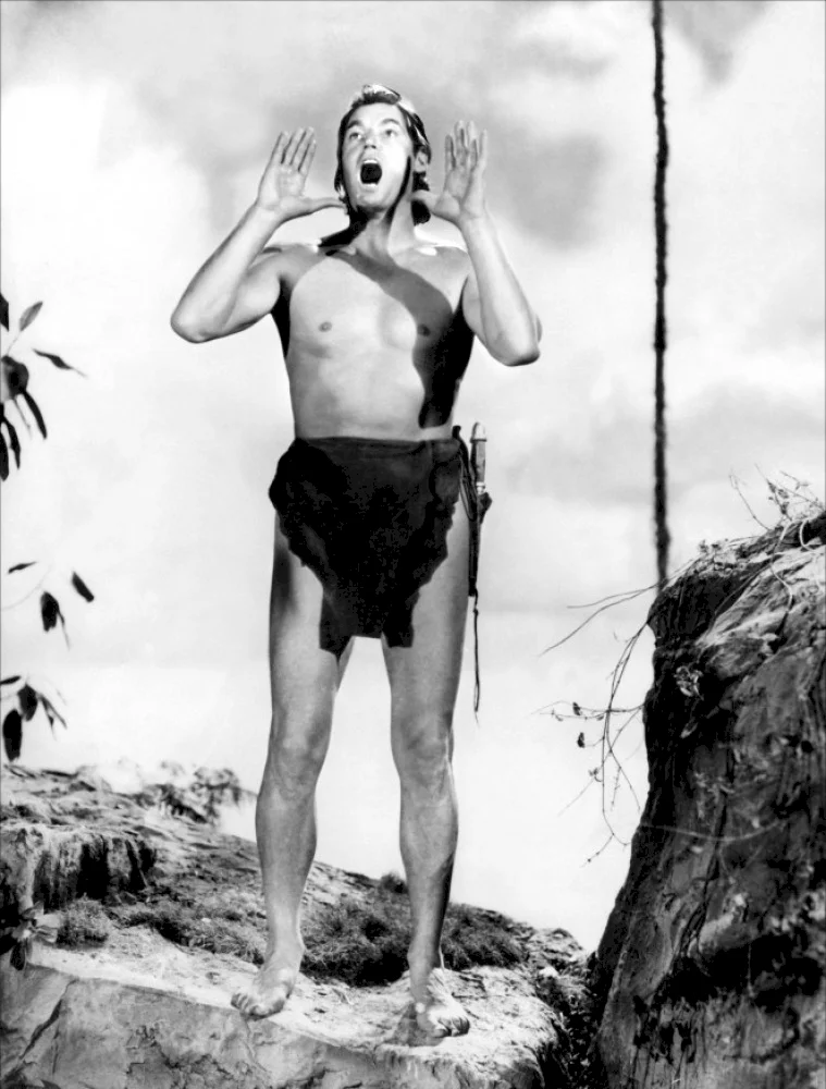 Photo 12 du film : Tarzan, l'homme singe