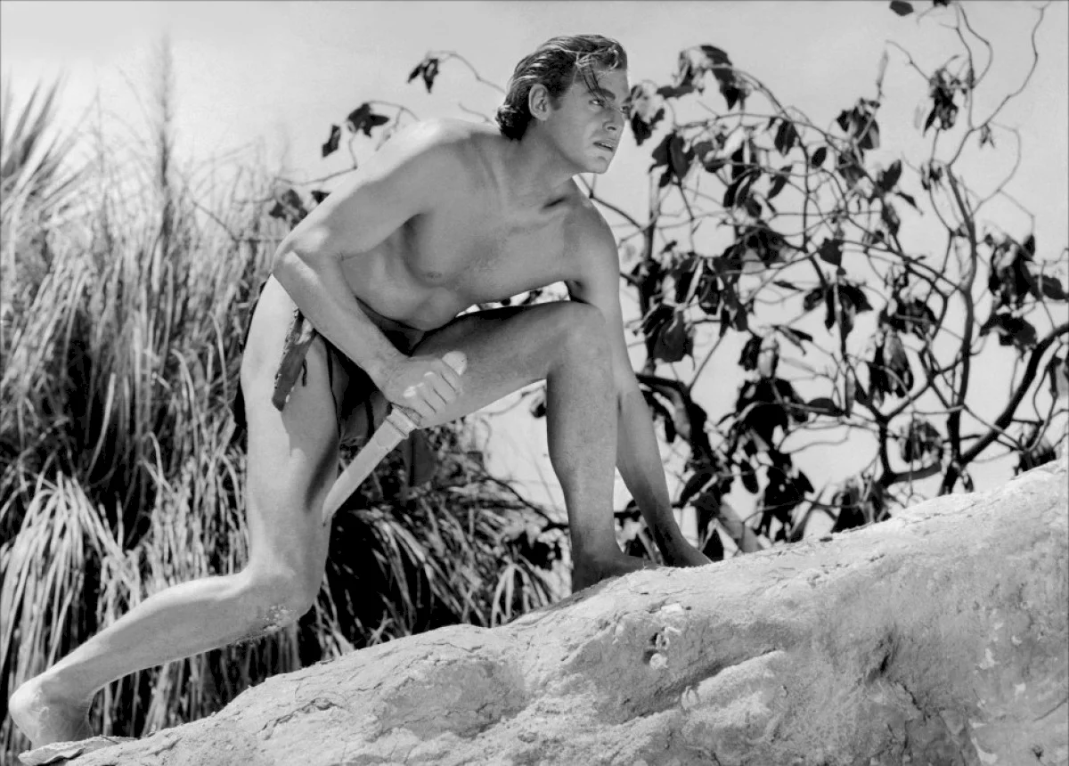 Photo 13 du film : Tarzan, l'homme singe