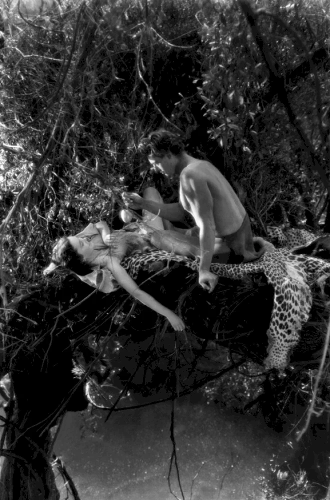 Photo 15 du film : Tarzan, l'homme singe