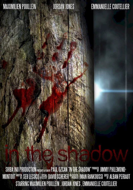 Photo du film : In the shadow 