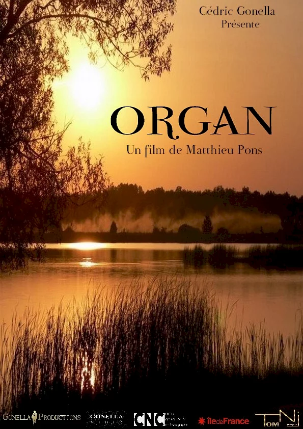 Photo 1 du film : Organ
