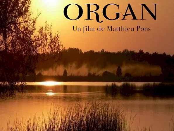 Photo du film : Organ
