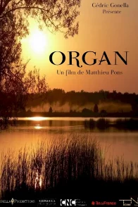 Affiche du film : Organ
