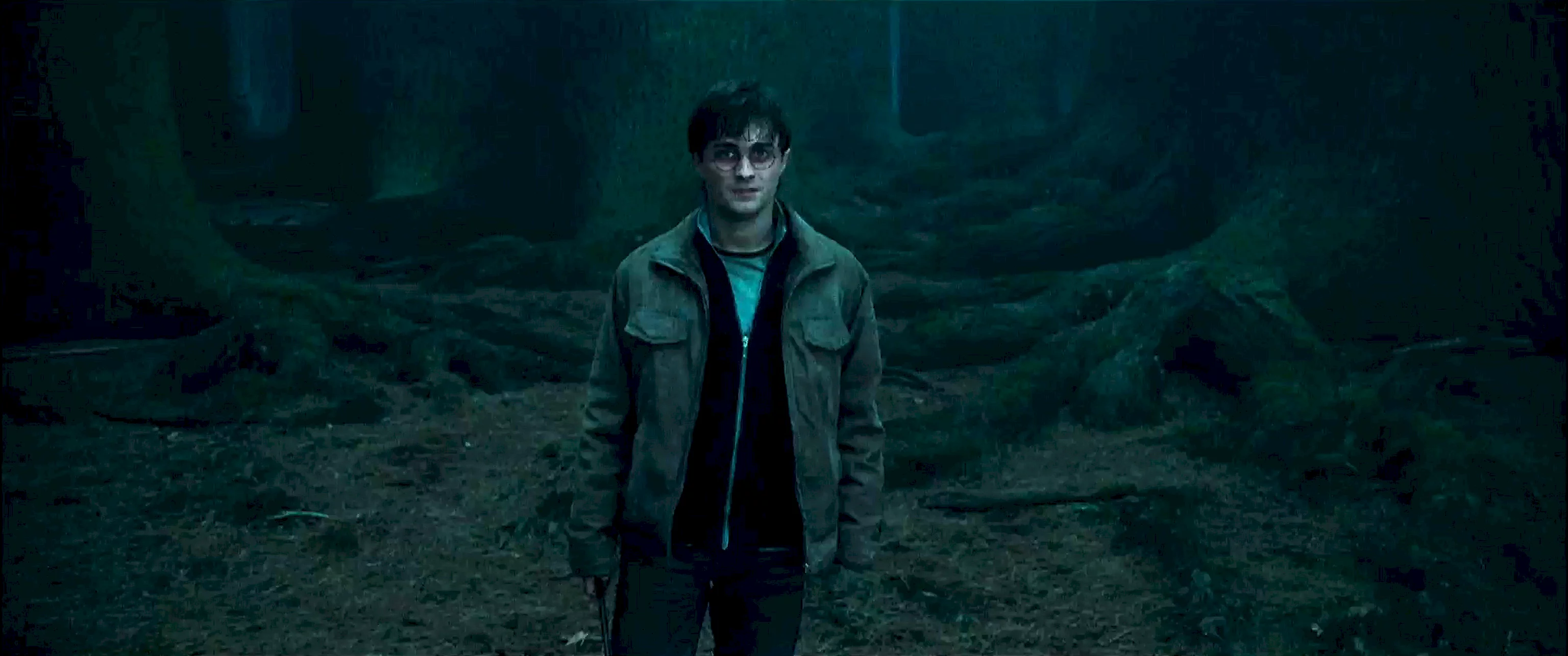Photo 43 du film : Harry Potter et les reliques de la mort - Partie 1