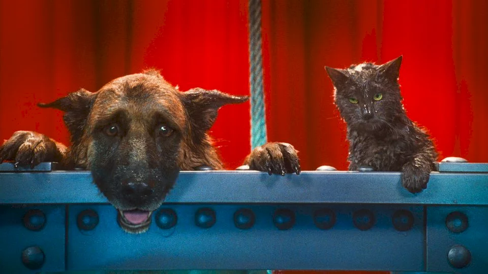 Photo 23 du film : Comme chiens et chats - La Revanche de Kitty Galore 