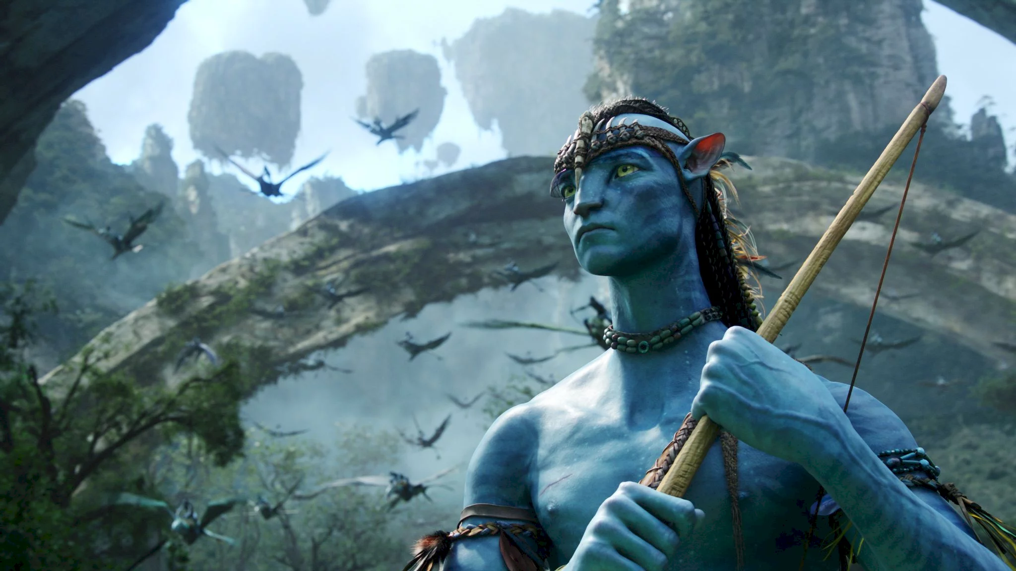 Photo 4 du film : Avatar special edition