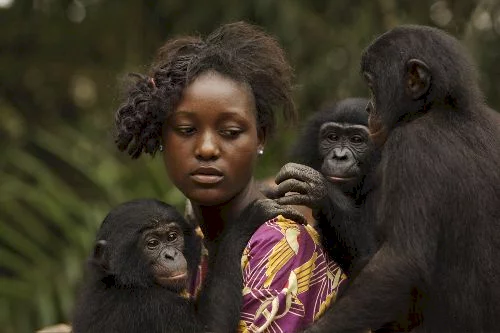 Photo 3 du film : Bonobos