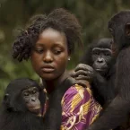Photo du film : Bonobos
