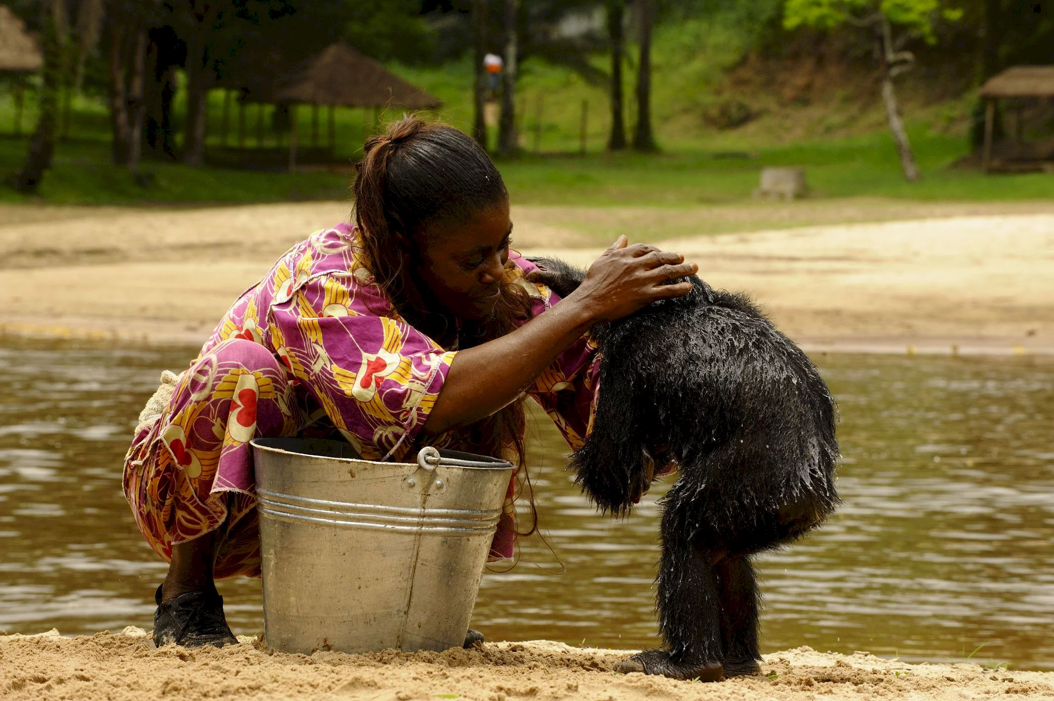 Photo 11 du film : Bonobos