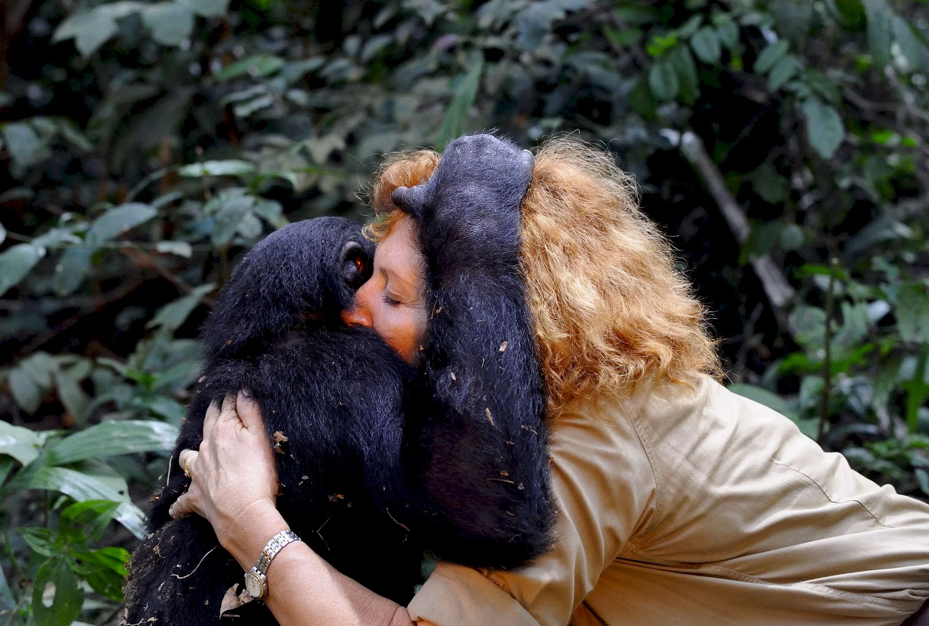 Photo 17 du film : Bonobos
