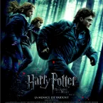 Photo du film : Harry Potter et les reliques de la mort - Partie 1