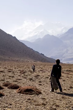 Affiche du film = Destination Himalaya 