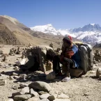 Photo du film : Destination Himalaya 