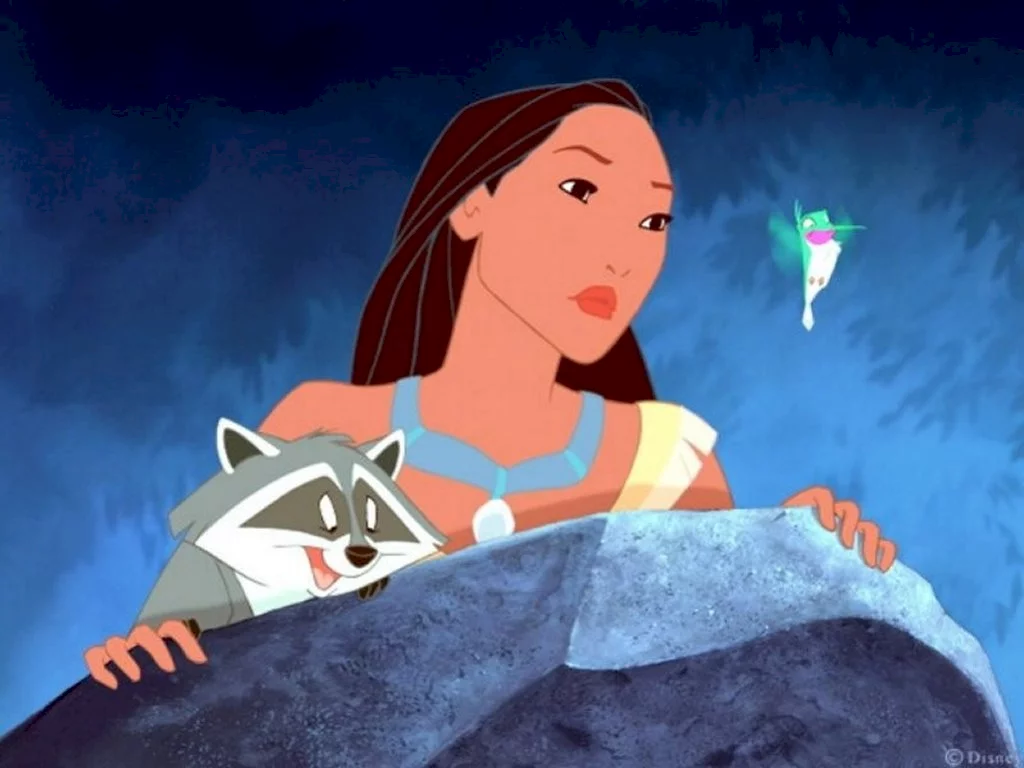 Photo 3 du film : Pocahontas : une Légende indienne