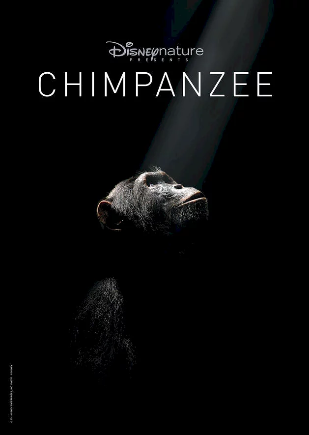 Photo 52 du film : Chimpanzés
