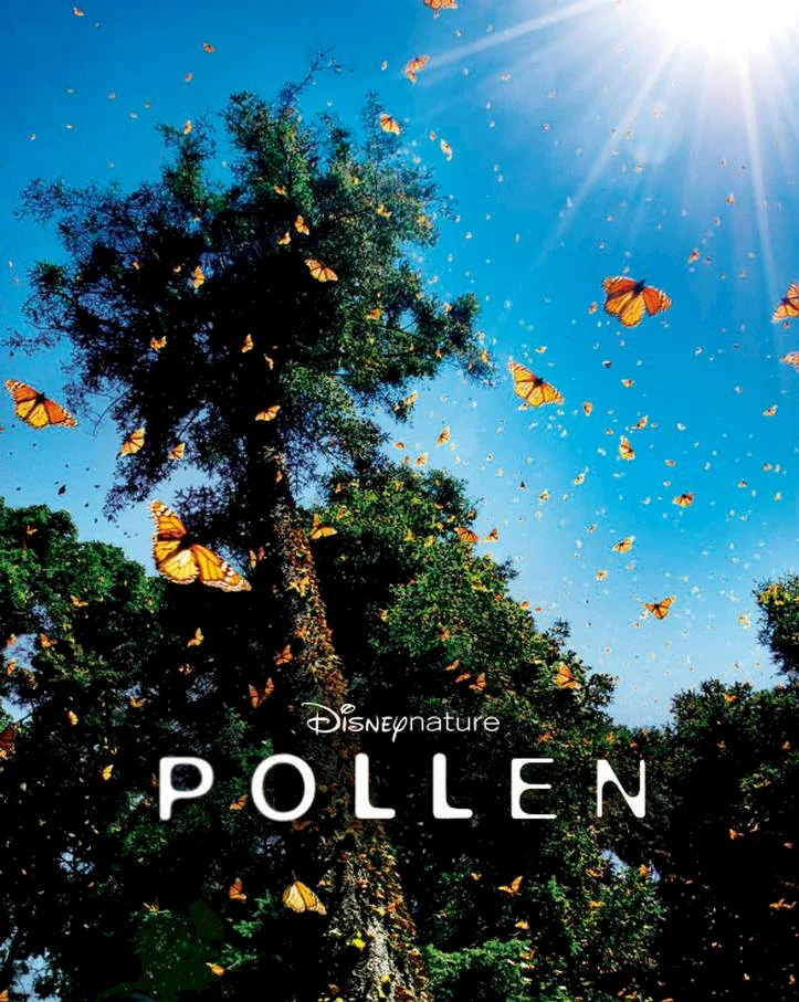 Photo 2 du film : Pollen