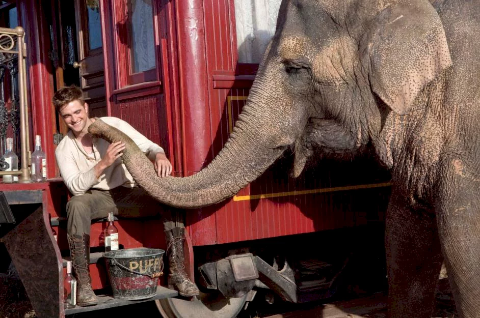 Photo du film : De l'eau pour les éléphants