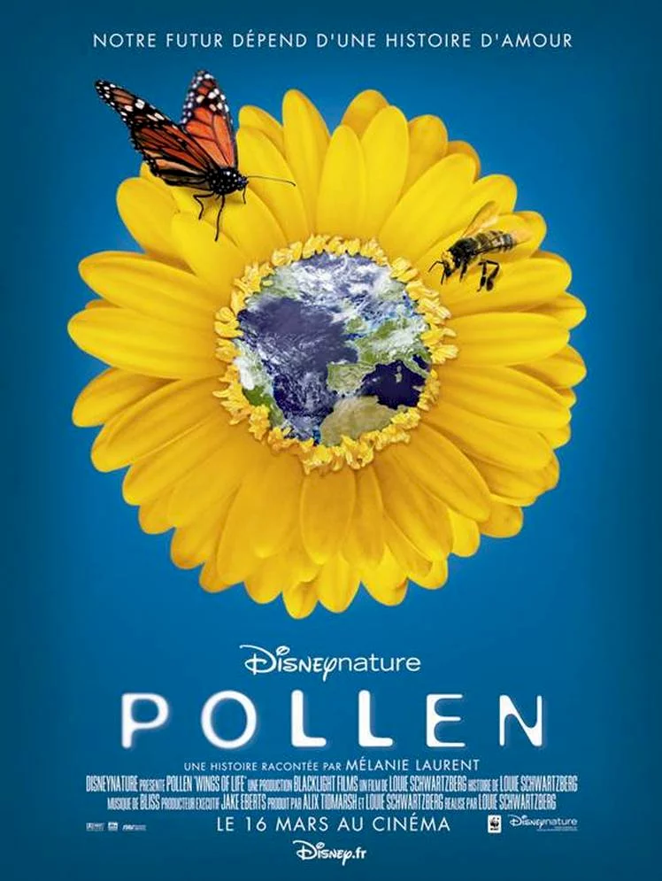 Photo 1 du film : Pollen