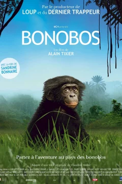Affiche du film = Bonobos