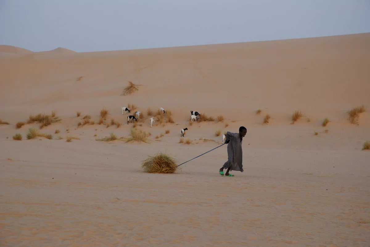 Photo 2 du film : Vents de sable, femmes de roc