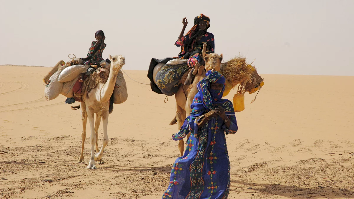 Photo du film : Vents de sable, femmes de roc