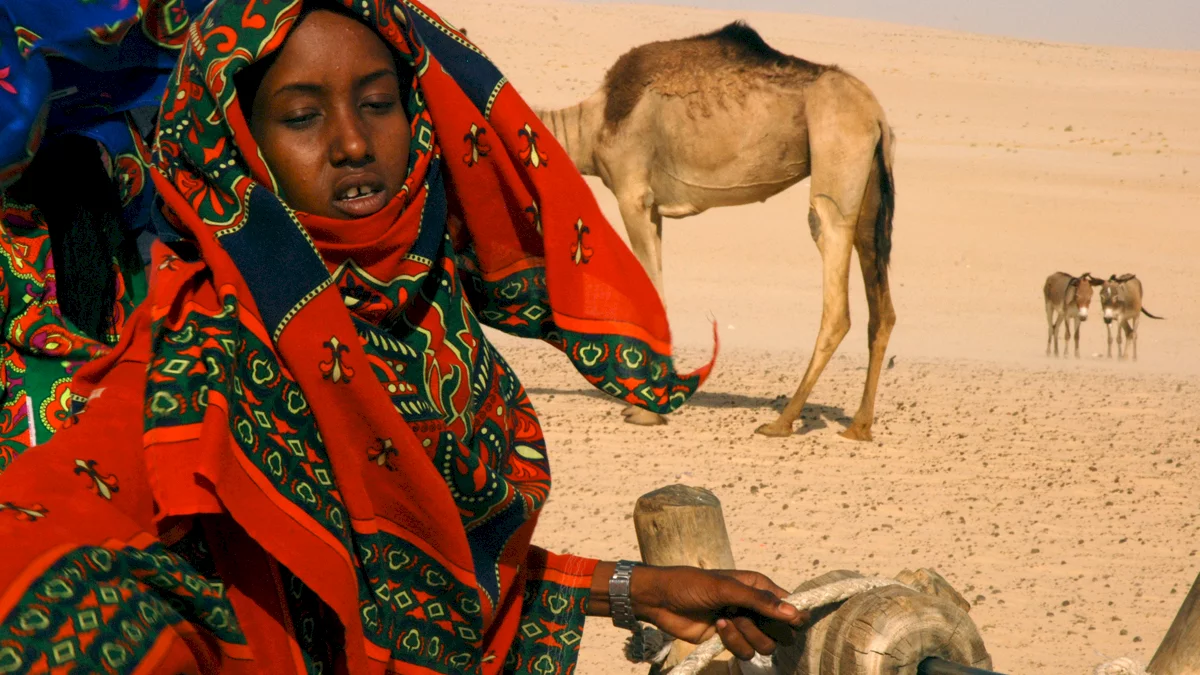 Photo 7 du film : Vents de sable, femmes de roc