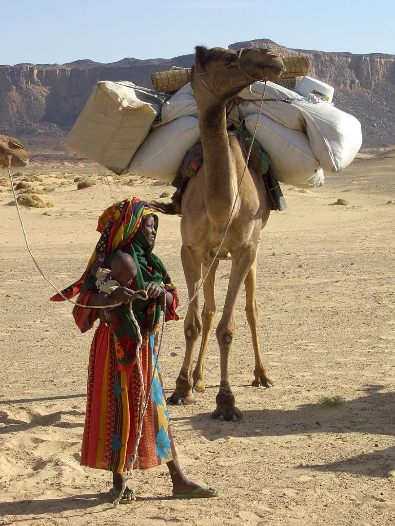 Photo 15 du film : Vents de sable, femmes de roc