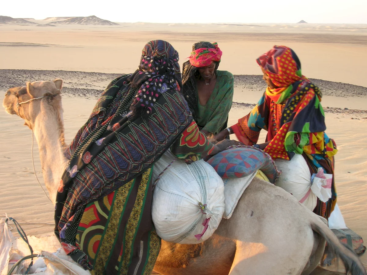 Photo 9 du film : Vents de sable, femmes de roc