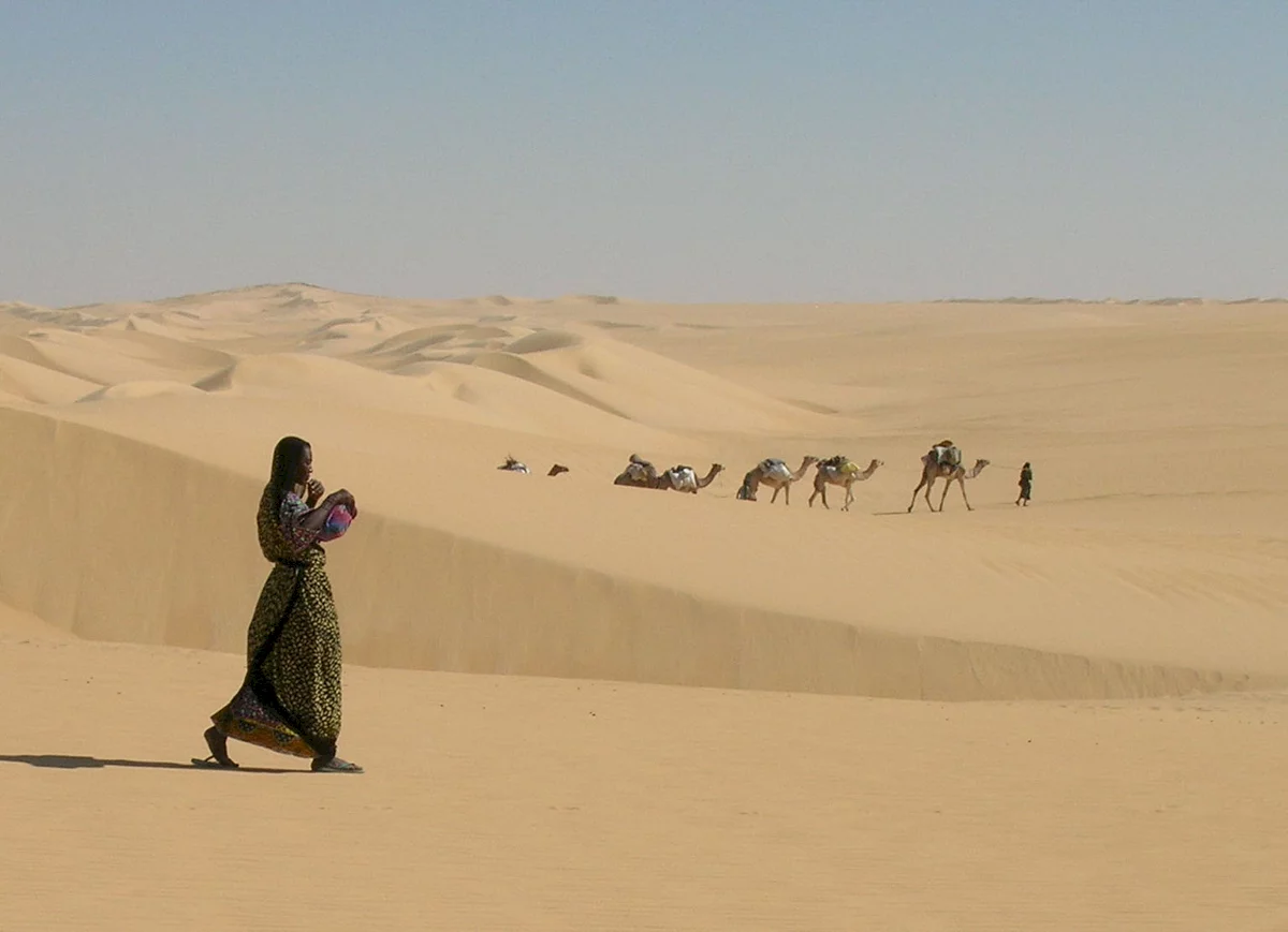 Photo 10 du film : Vents de sable, femmes de roc