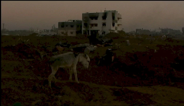 Photo 2 du film : Gaza-Strophe, Palestine