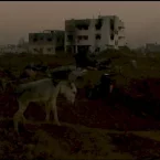 Photo du film : Gaza-Strophe, Palestine