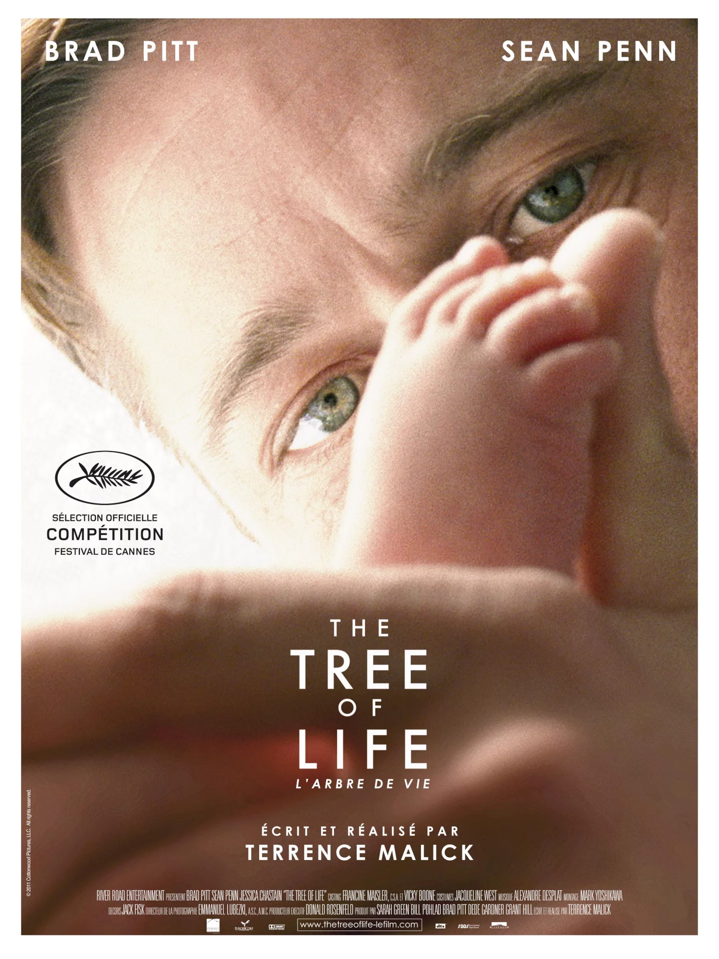 Photo 1 du film : The Tree of Life