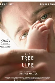 Affiche du film : The Tree of Life