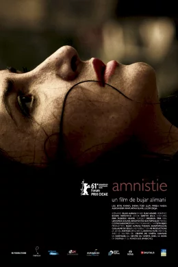 Affiche du film Amnistie