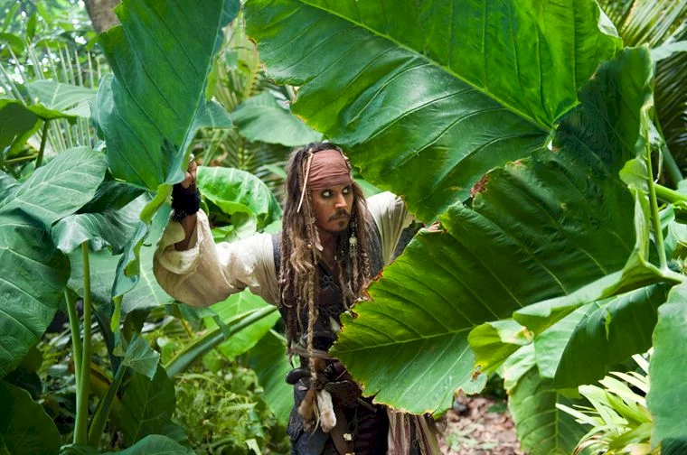 Photo du film : Pirates des Caraïbes : la fontaine de Jouvence