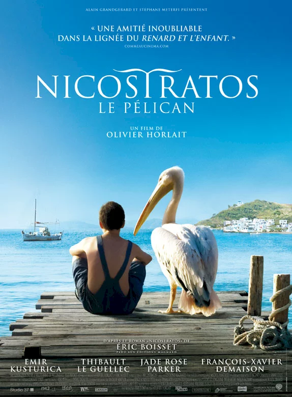 Photo du film : Nicostratos, le pélican