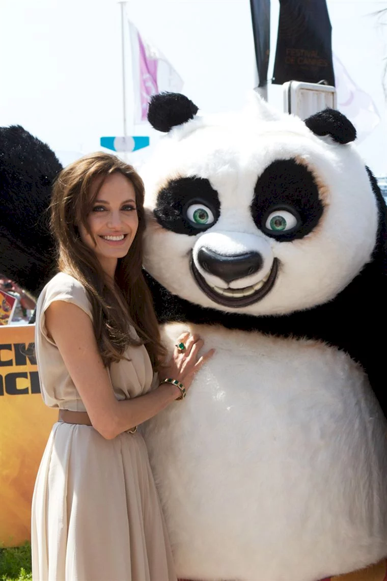 Photo 10 du film : Kung Fu Panda 2
