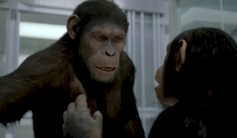 Photo 3 du film : La planète des singes : les origines 