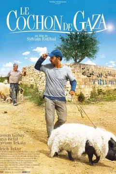 Affiche du film = Le cochon de Gaza