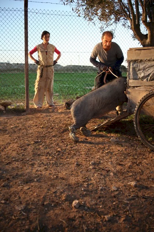 Photo du film : Le cochon de Gaza