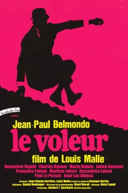 Affiche du film Le Voleur