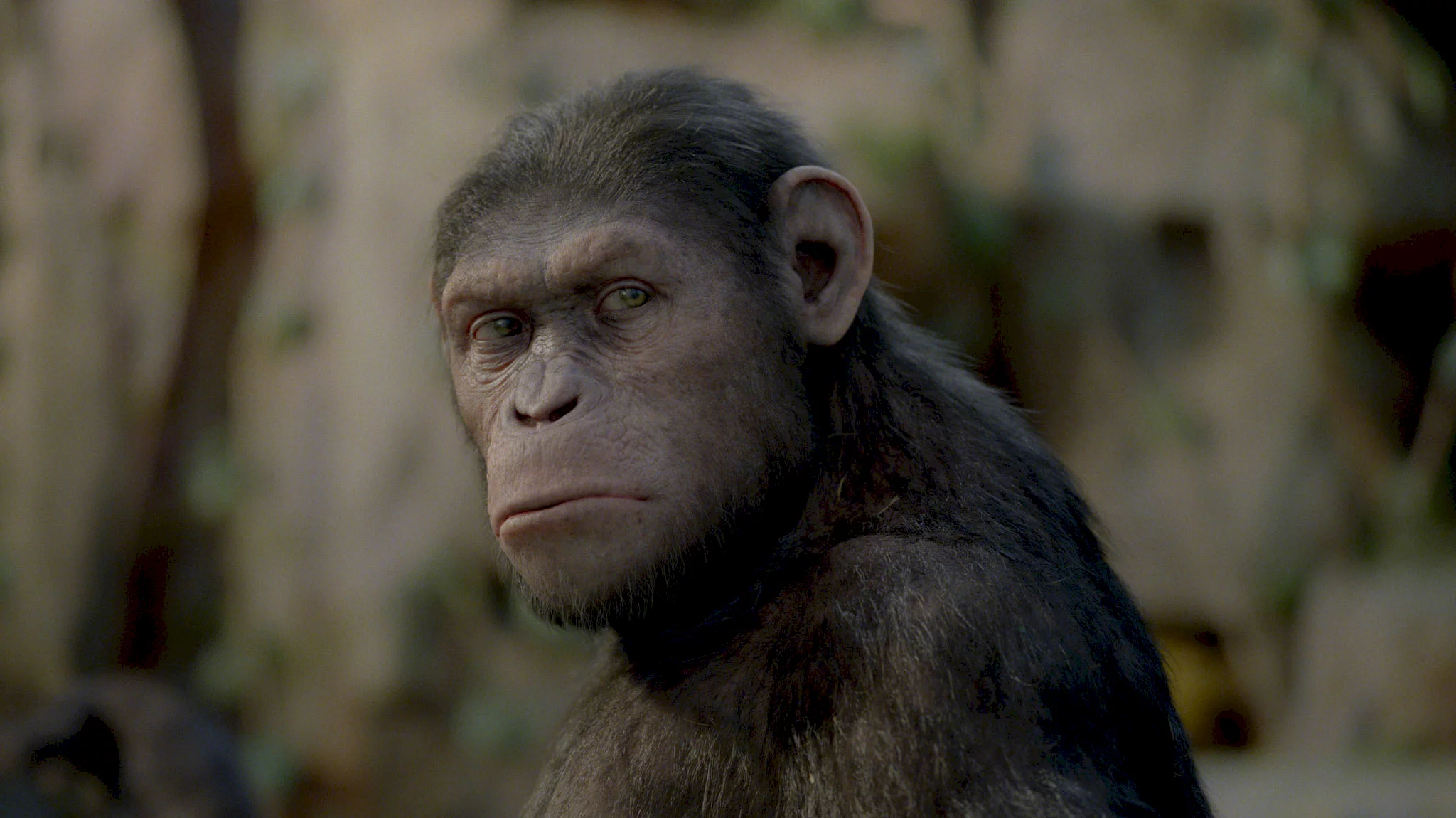 Photo 4 du film : La planète des singes : les origines 