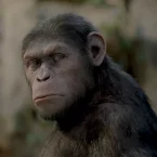 Photo du film : La planète des singes : les origines 