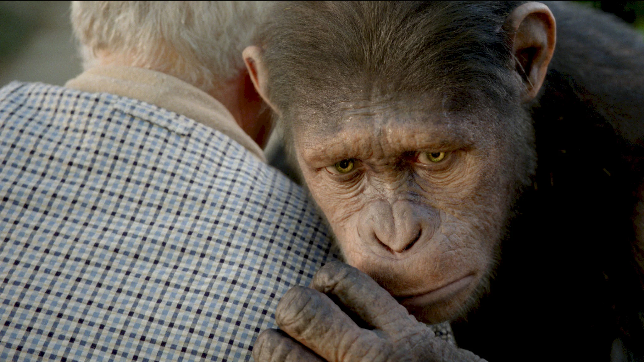 Photo 6 du film : La planète des singes : les origines 