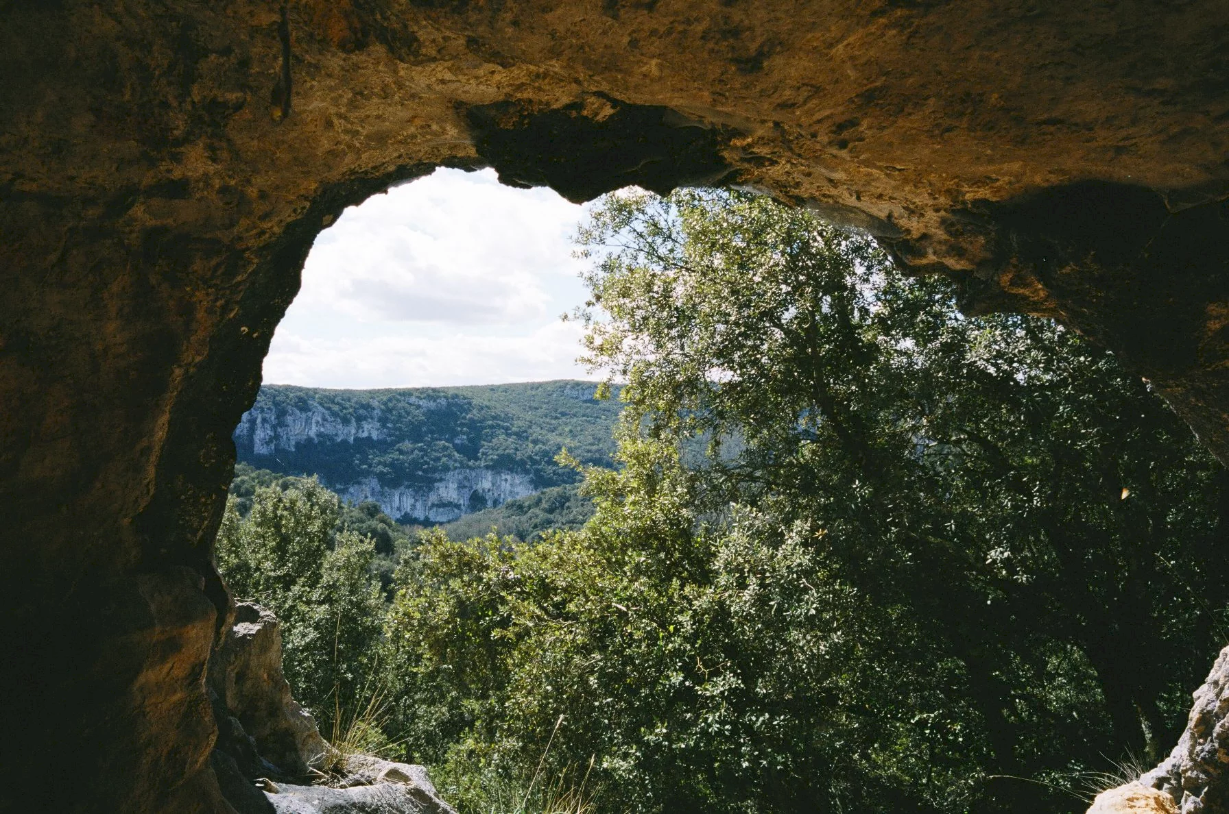 Photo 6 du film : La Grotte des rêves perdus