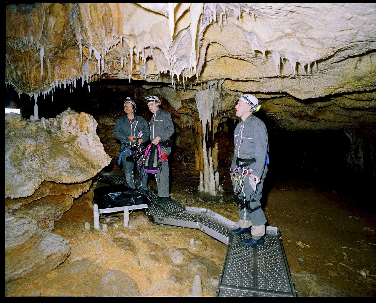 Photo 12 du film : La Grotte des rêves perdus