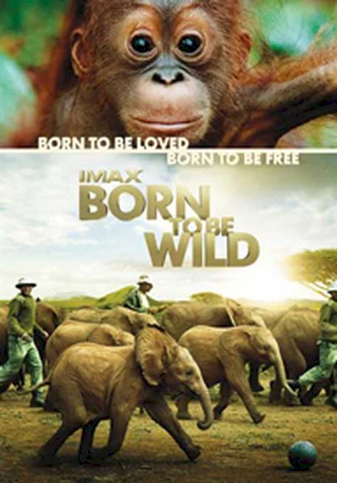 Photo 1 du film : Born to be wild (3D)